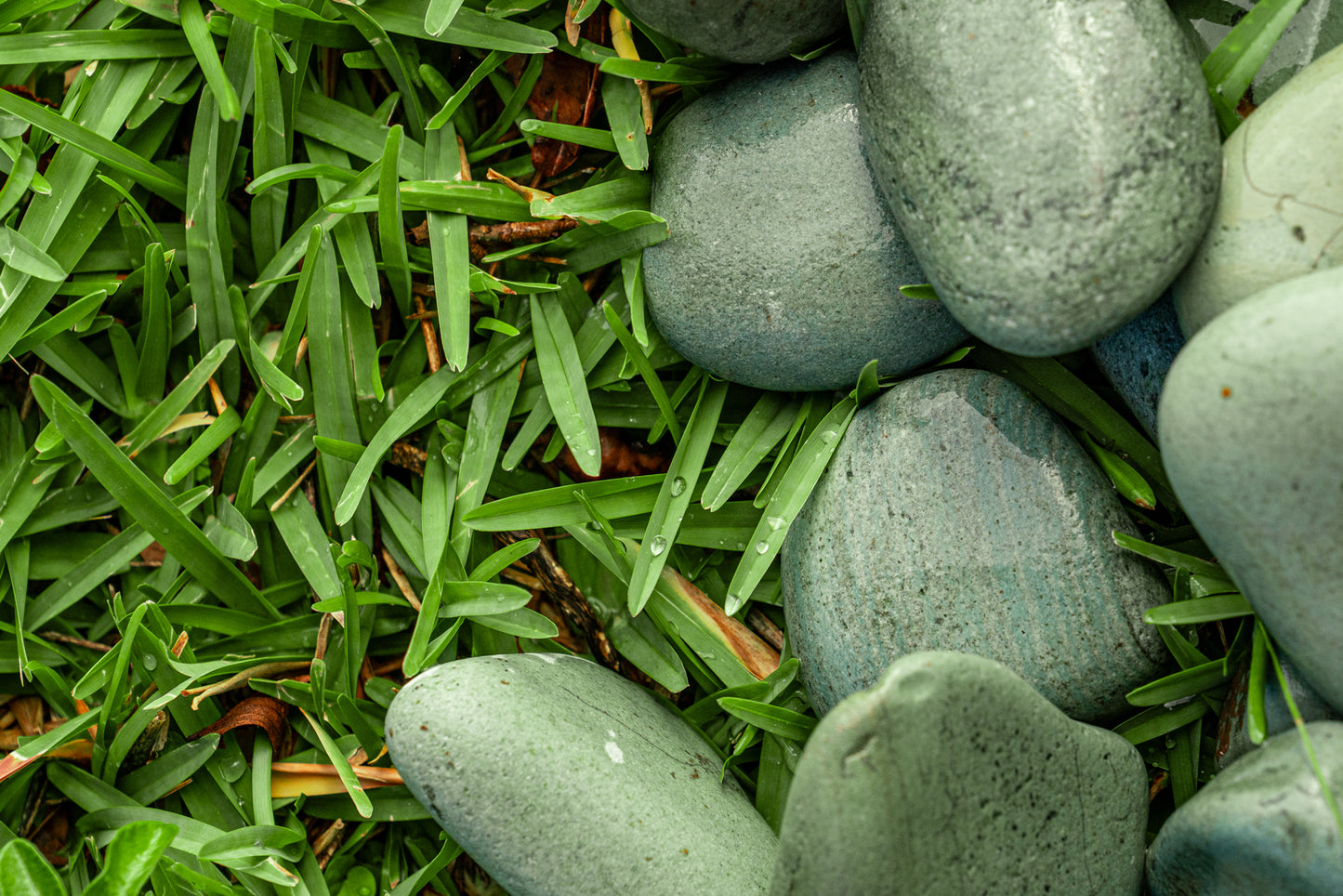TROPICAL GREEN JADE PEBBLES (40lbs bag)
