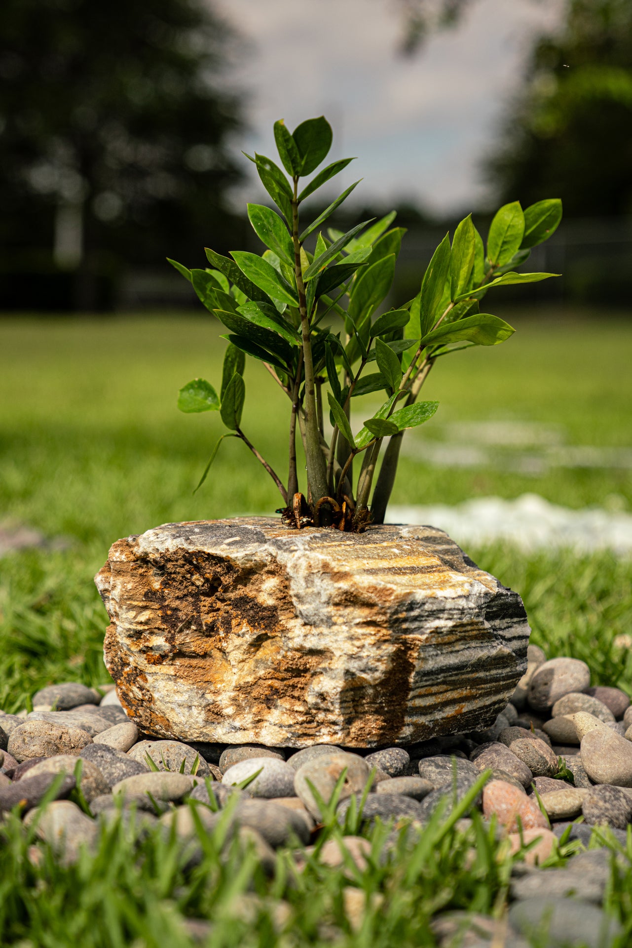 MARBLE PLANTERS (per piece)