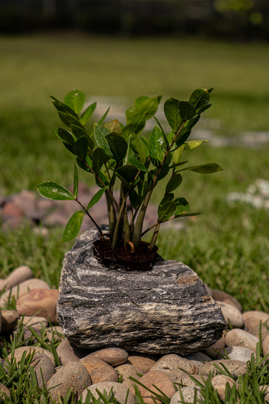 MARBLE PLANTERS (per piece)