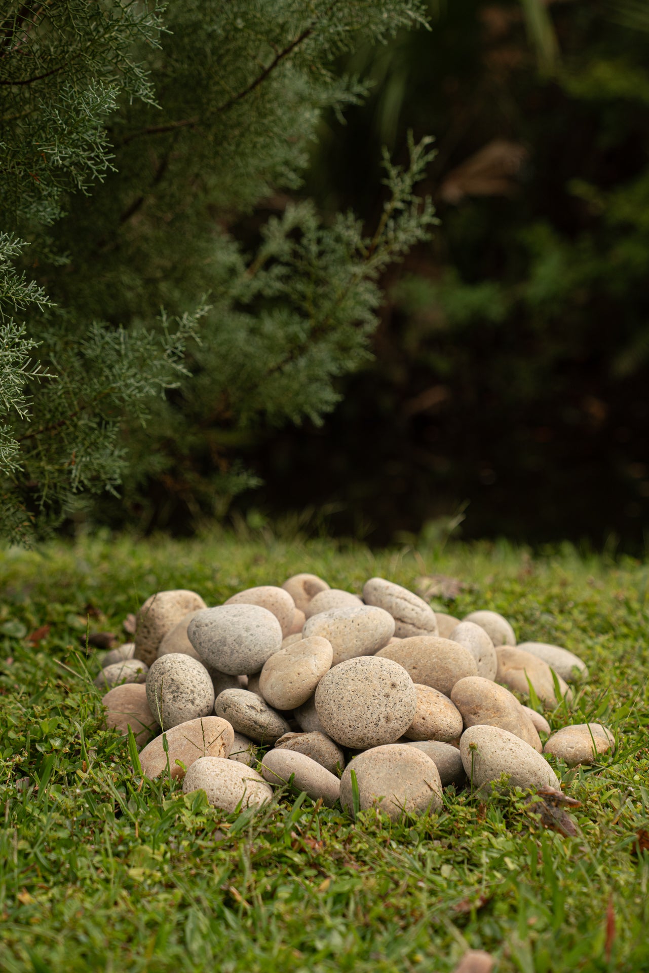 BUFF MEXICAN BEACH PEBBLES (40lbs bag)