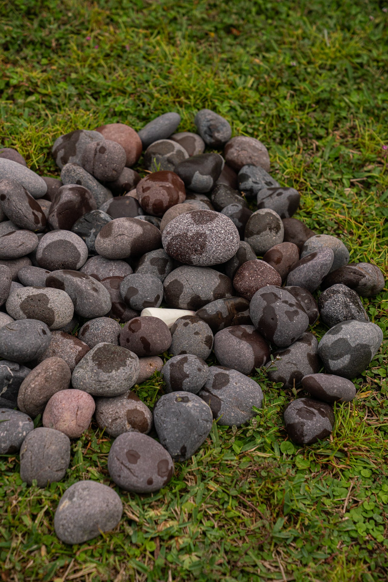 RED MEXICAN BEACH PEBBLES (40lbs bag)