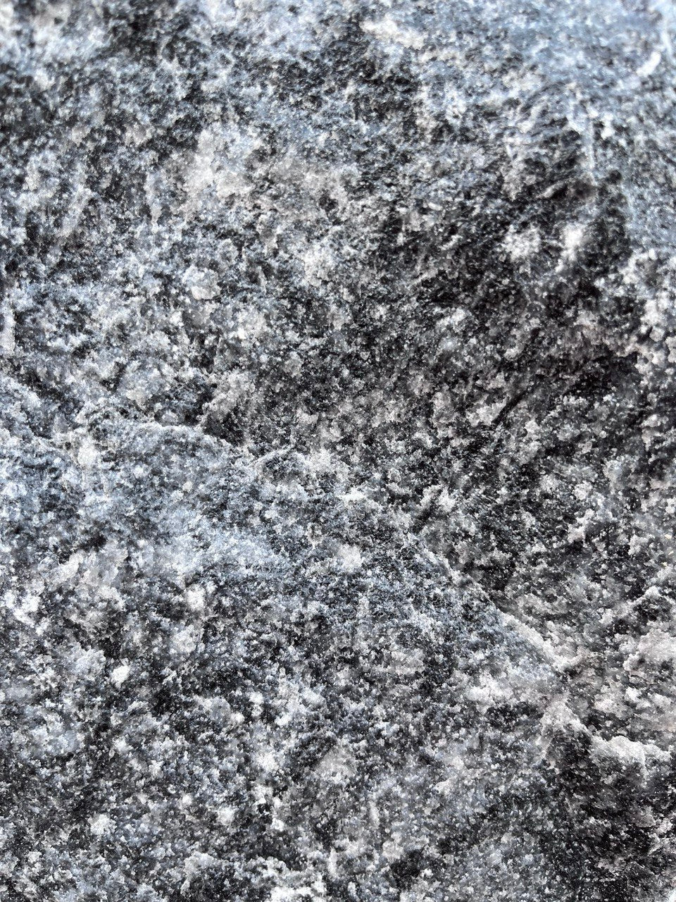 CHARCOAL MONOLITHS (per piece)