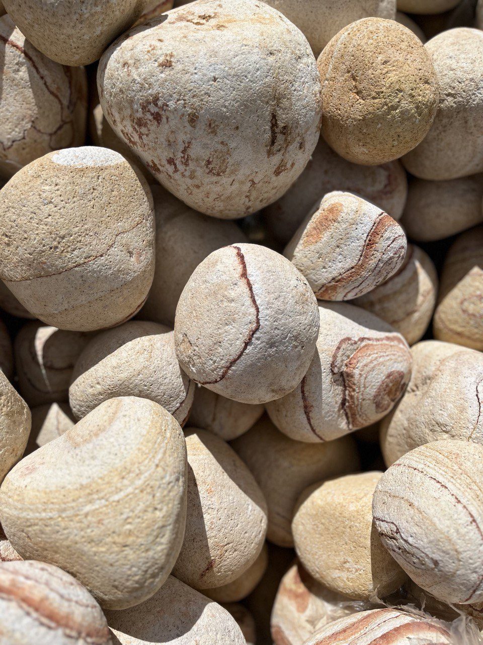 SUNNY BROWN PEBBLES