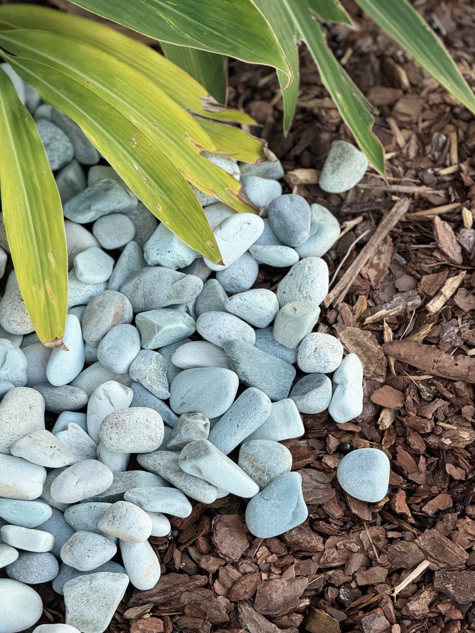 TROPICAL GREEN JADE PEBBLES (40lbs bag)