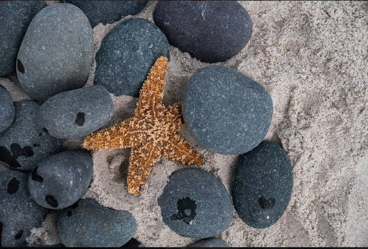 BLACK MEXICAN BEACH PEBBLES (40lbs bag)