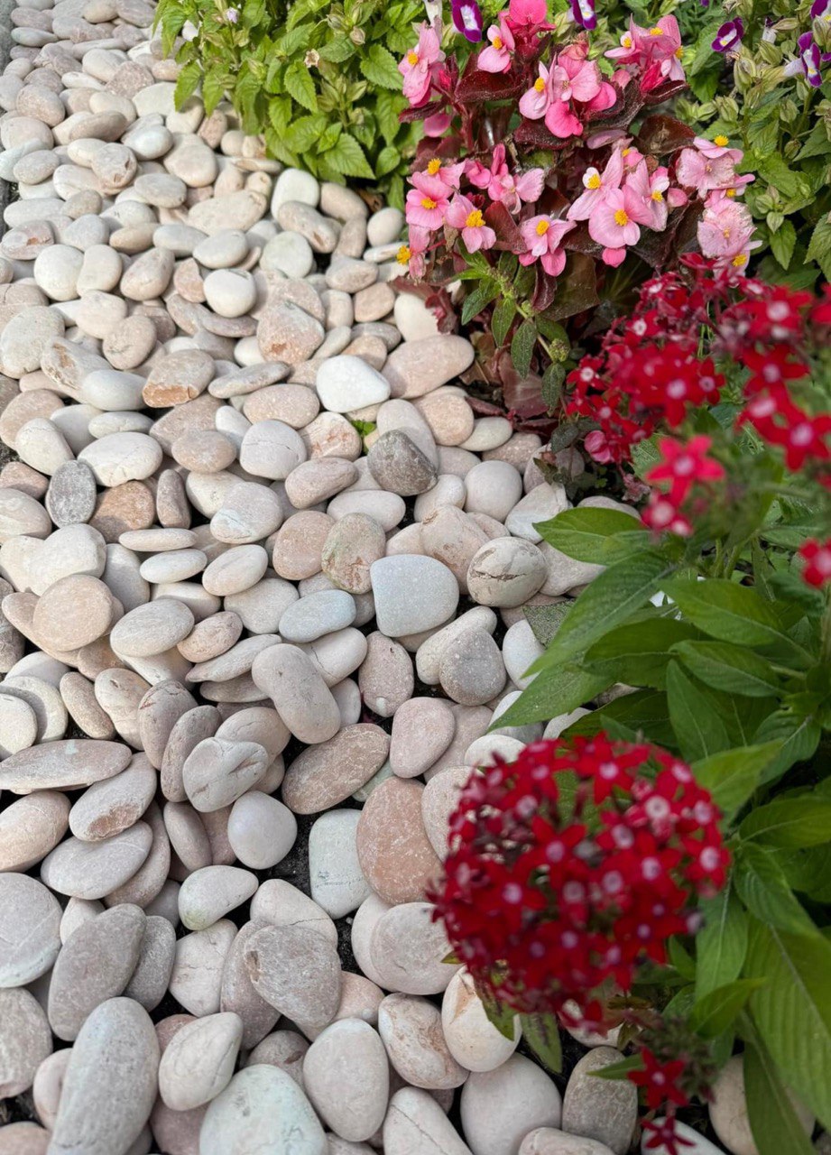 TROPICAL SALMON PEBBLES (40lbs bag)