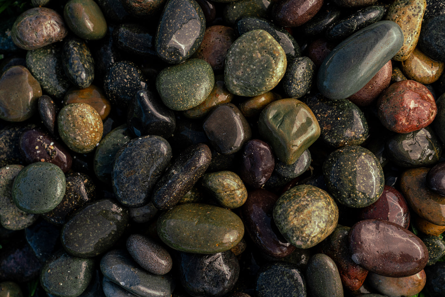 MIXED MEXICAN BEACH PEBBLES (40lbs bag)