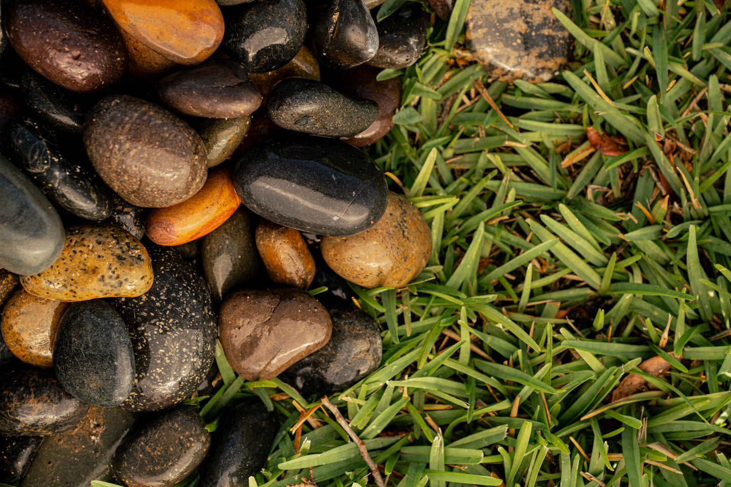 MIXED MEXICAN BEACH PEBBLES (40lbs bag)