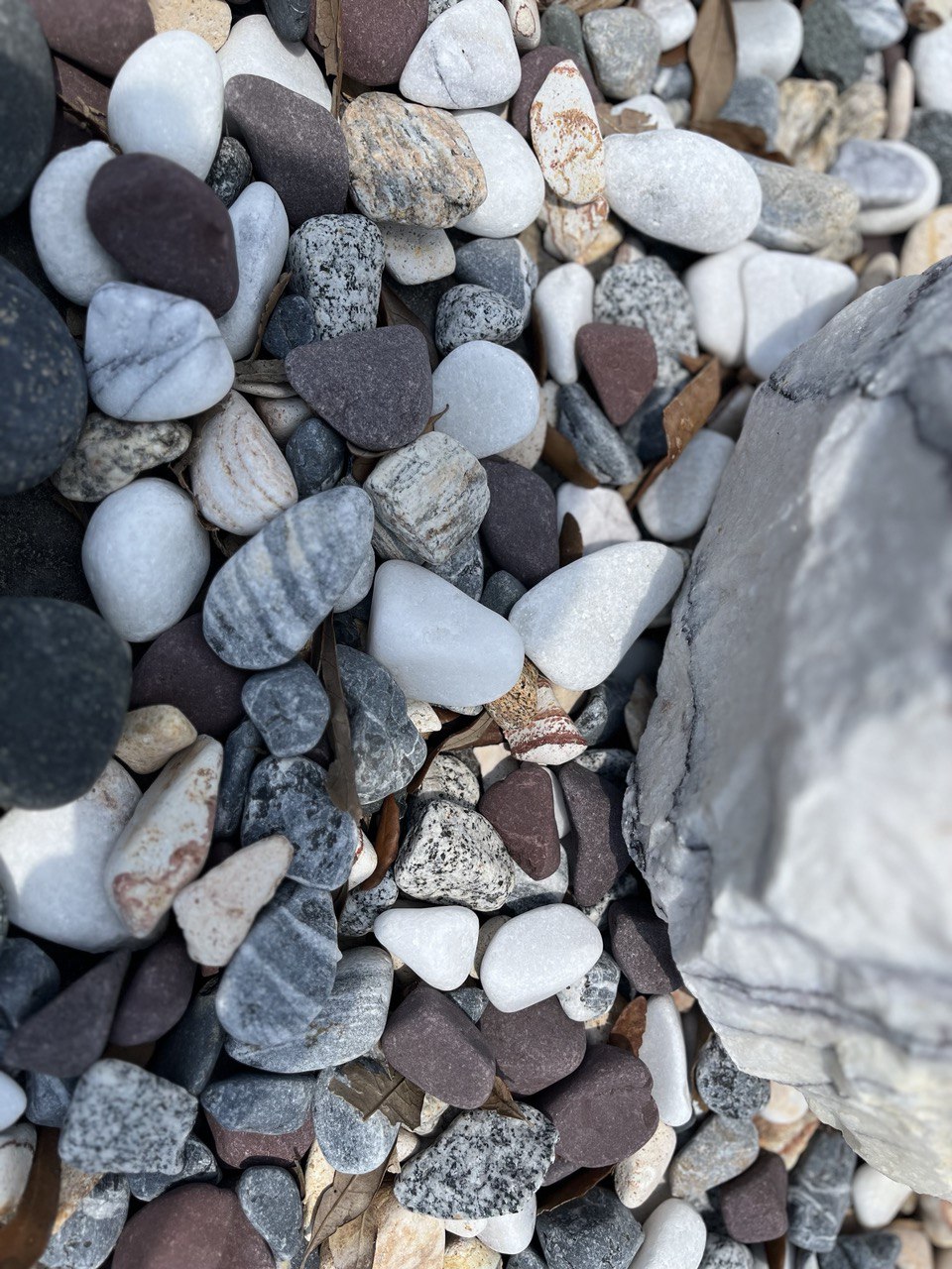 MIXED MARBLE PEBBLES