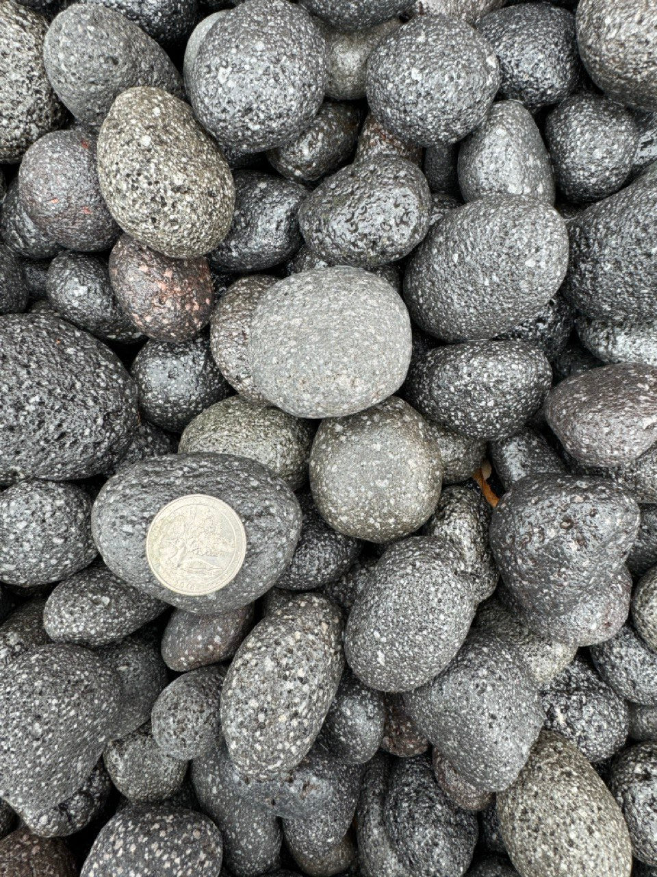 BLACK LAVA PEBBLES (40lbs bag)